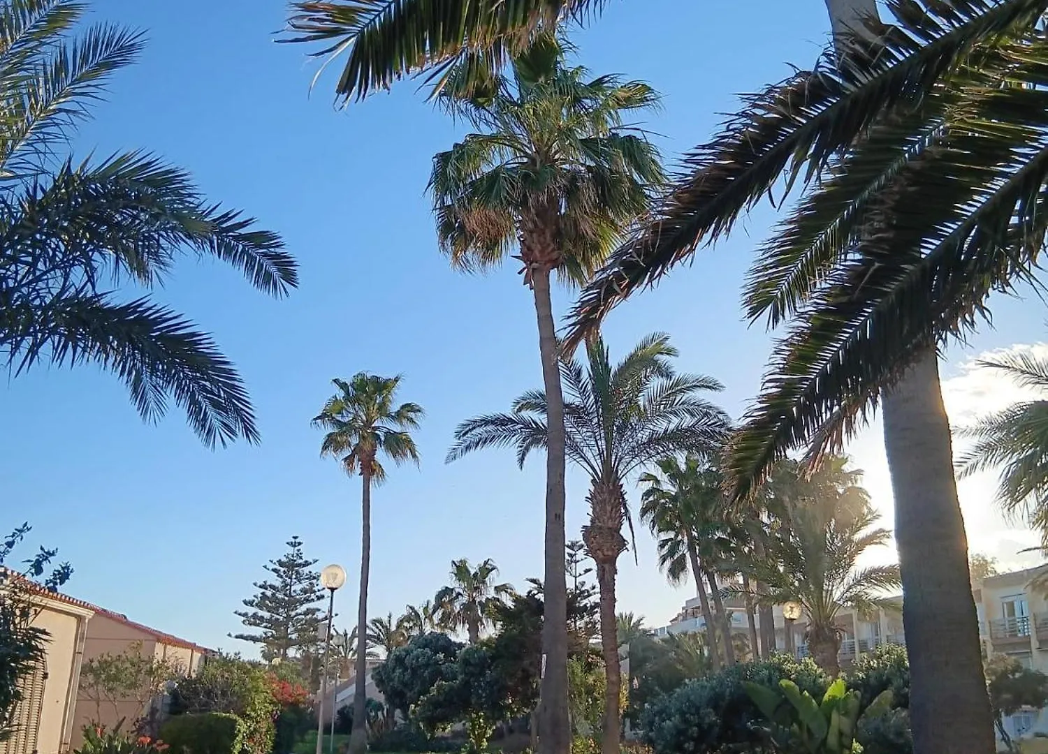 Apartment Tropicana Playa Roquetas de Mar Spain